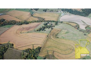Property photo 23 - 1,153 +/- Acres offered in 15 TractsLAND AUCTION